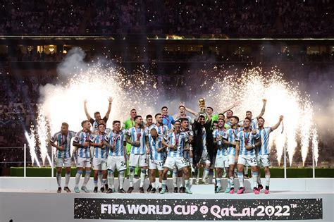 The 2014 FIFA World Cup Final; A Triumphant Performance Despite a Painful Defeat